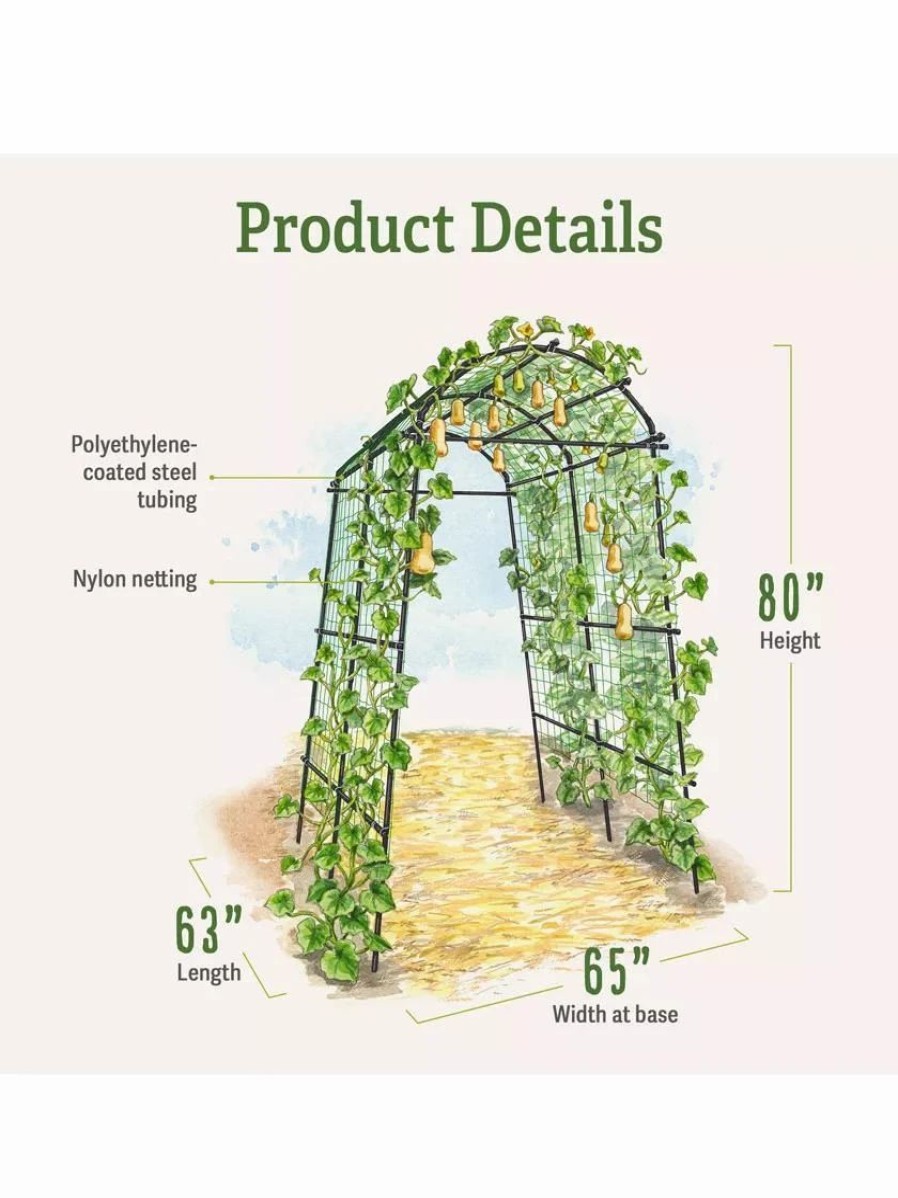 Plant Supports * | Titan Squash Tunnel