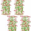 Plant Supports * | Tomato Cages, Set Of 4