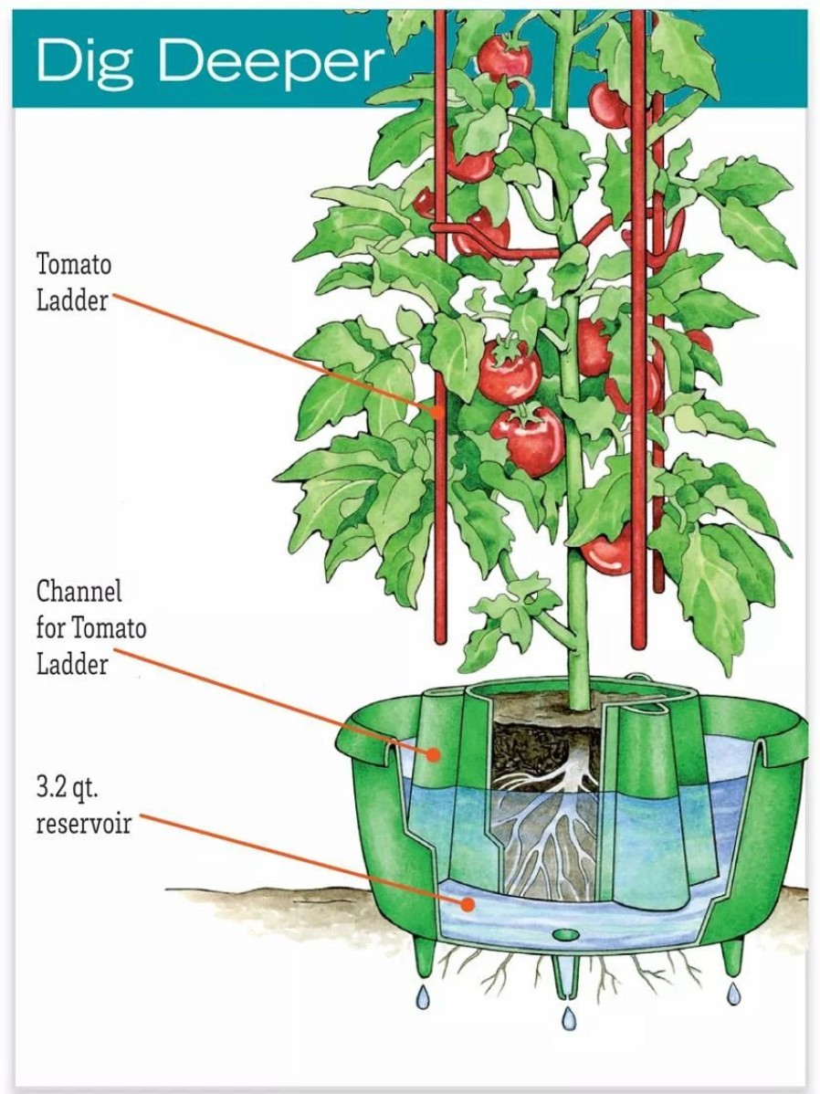 Plant Supports * | Tomato Halos, Set Of 3