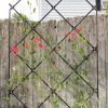 Plant Supports * | Achla Designs Freestanding Lattice Trellis