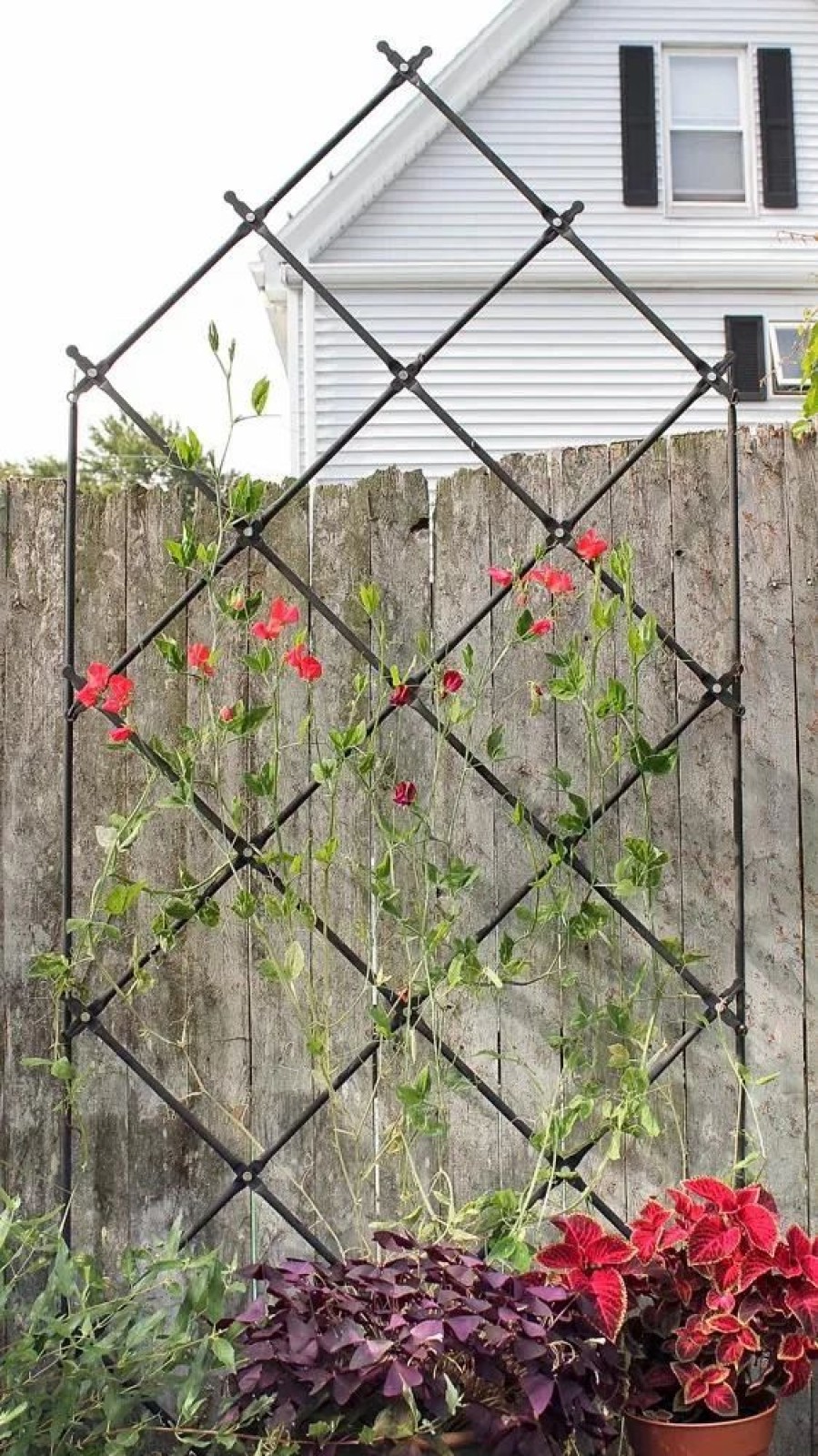 Plant Supports * | Achla Designs Freestanding Lattice Trellis