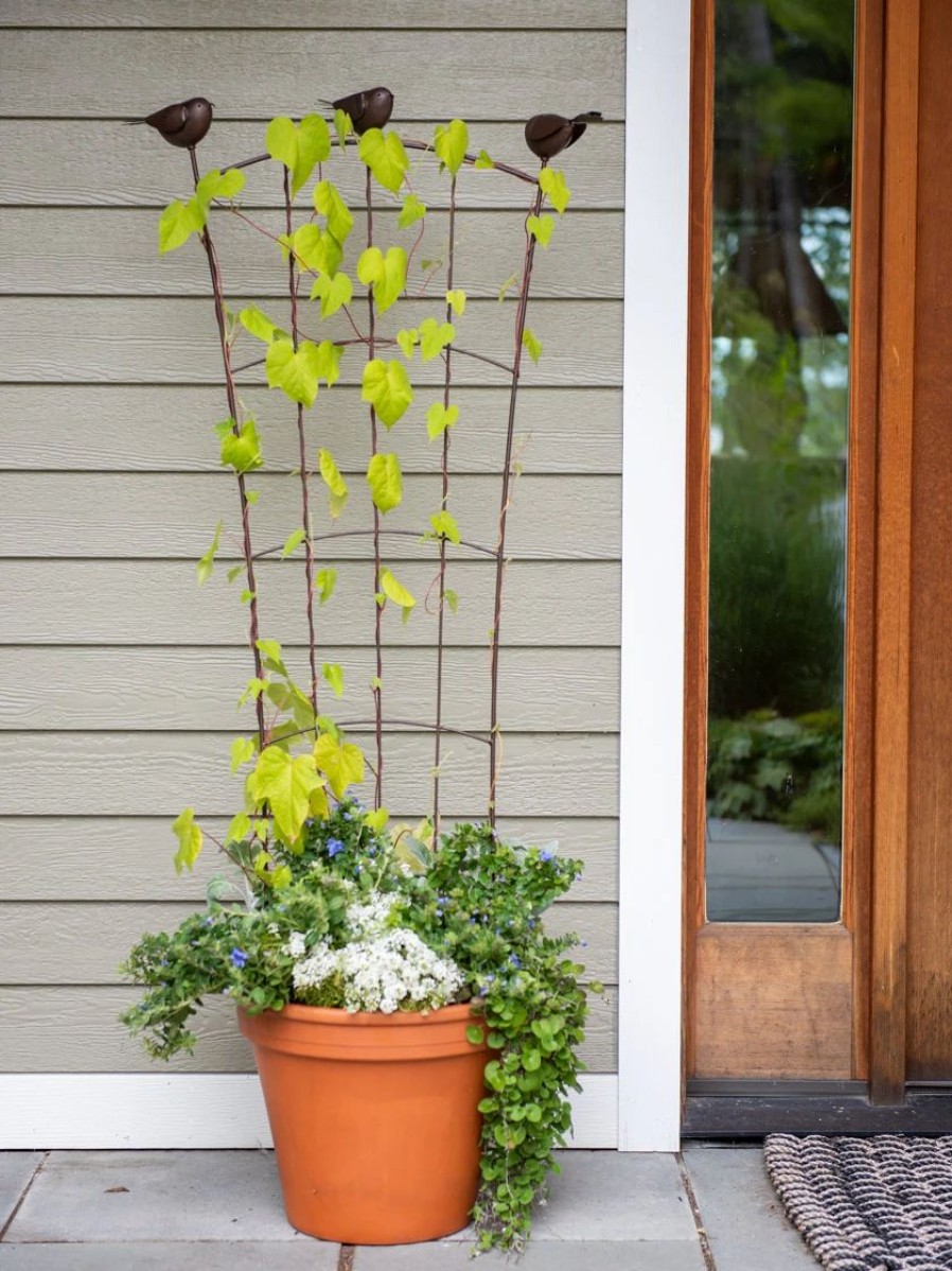 Plant Supports * | Flock Of Friends Pot Trellis