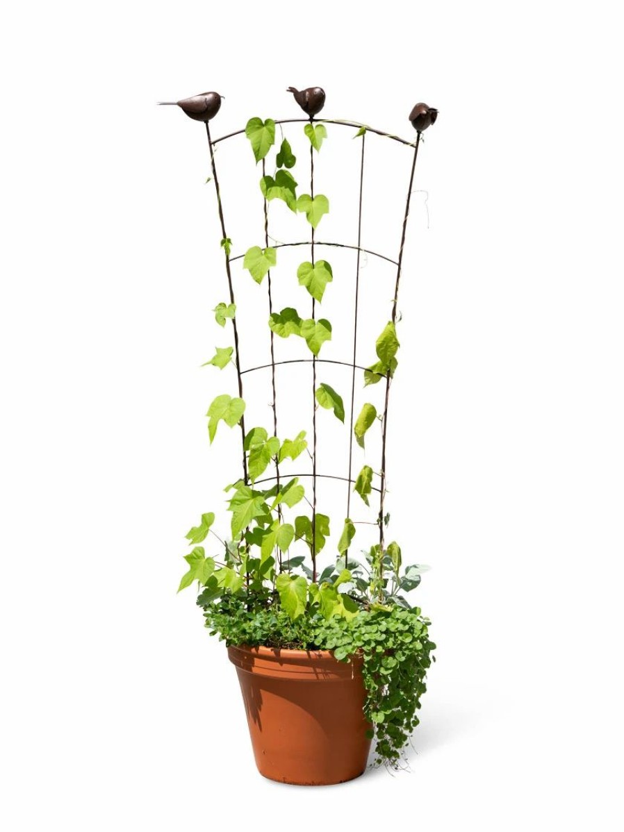 Plant Supports * | Flock Of Friends Pot Trellis