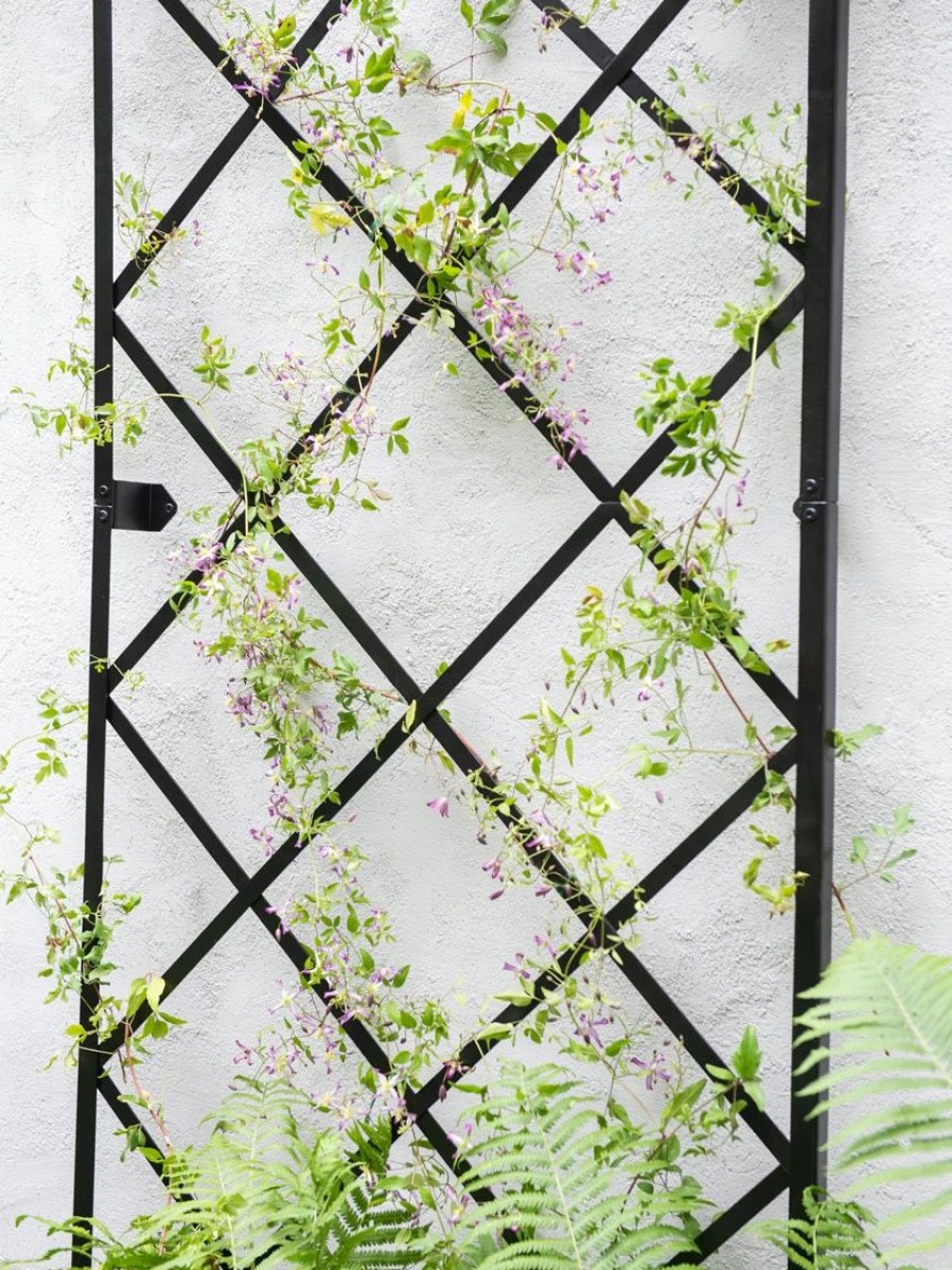 Plant Supports * | Lattice Gable Wall Trellis