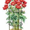 Plant Supports * | Titan Peony Supports, Medium, Set Of 2