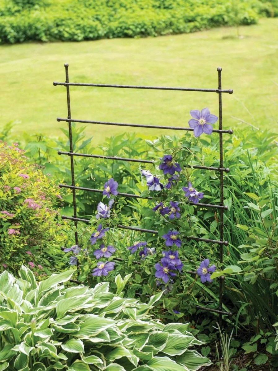 Plant Supports * | Jardin Ladder Trellis