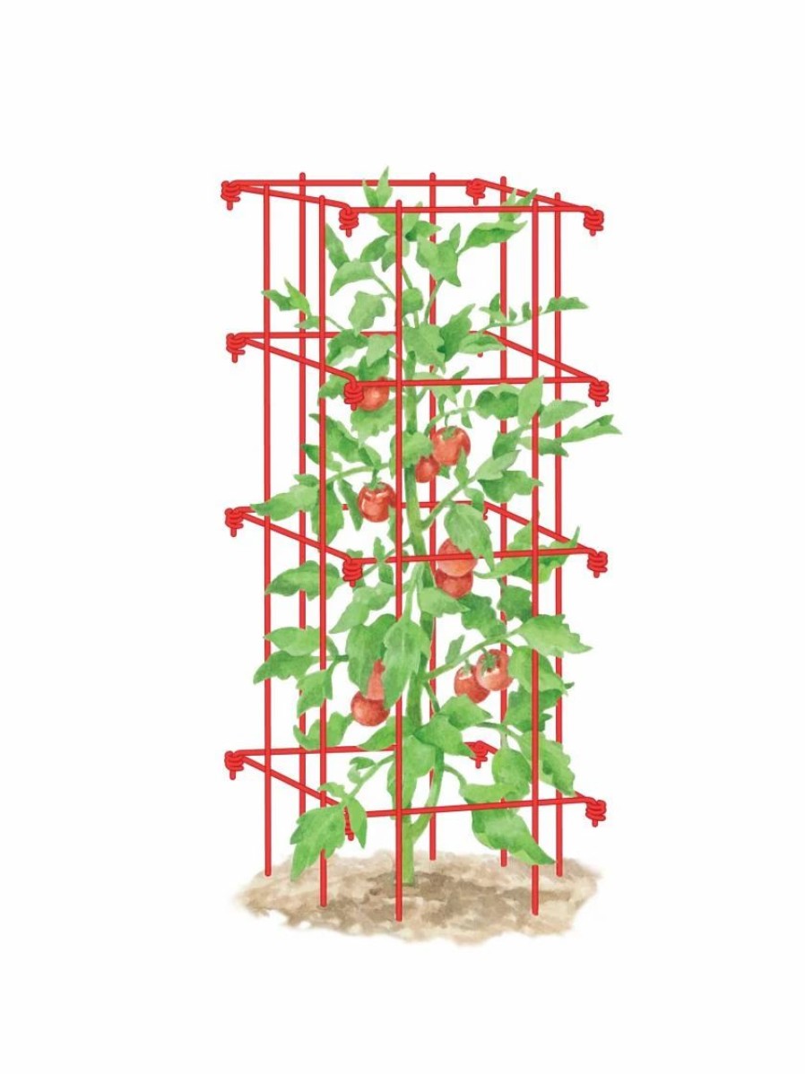 Plant Supports * | Tomato Cage, Single