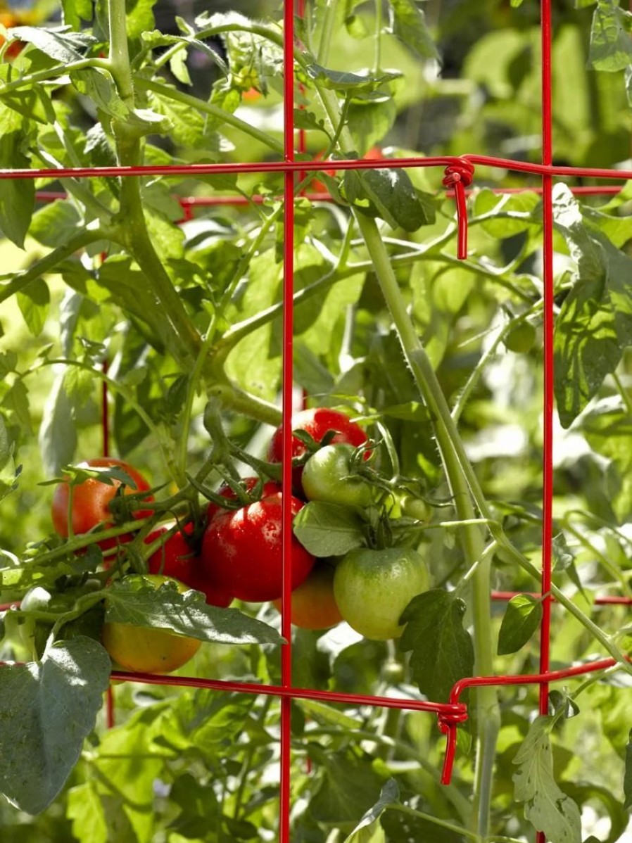 Plant Supports * | Tomato Cage, Single