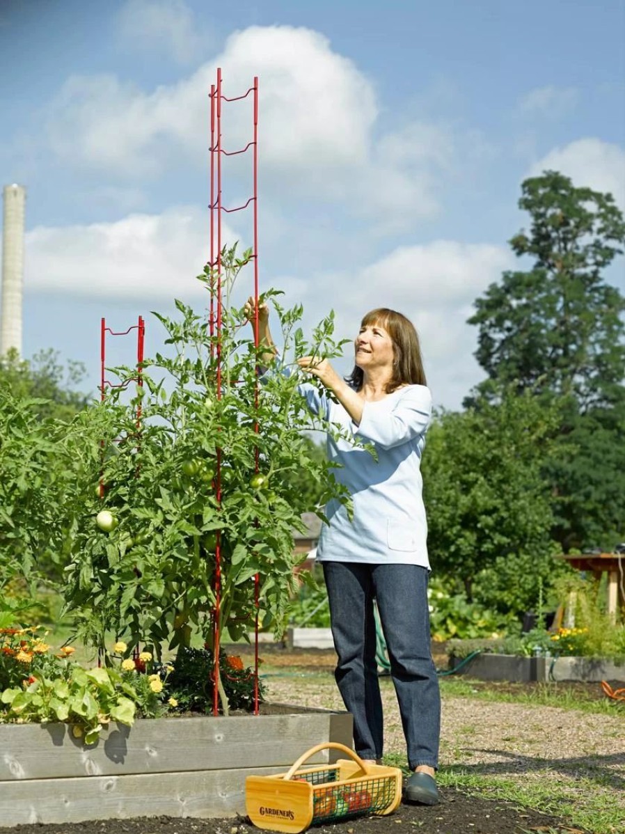 Plant Supports * | Stacking Tomato Ladders, Set Of 6