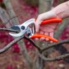 Garden Tools * | Castellari Ergonomic Anvil Pruner