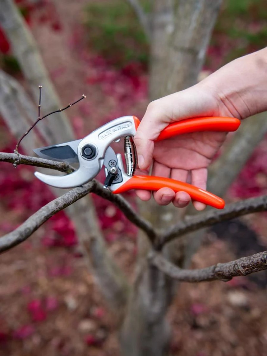 Garden Tools * | Castellari Ergonomic Anvil Pruner