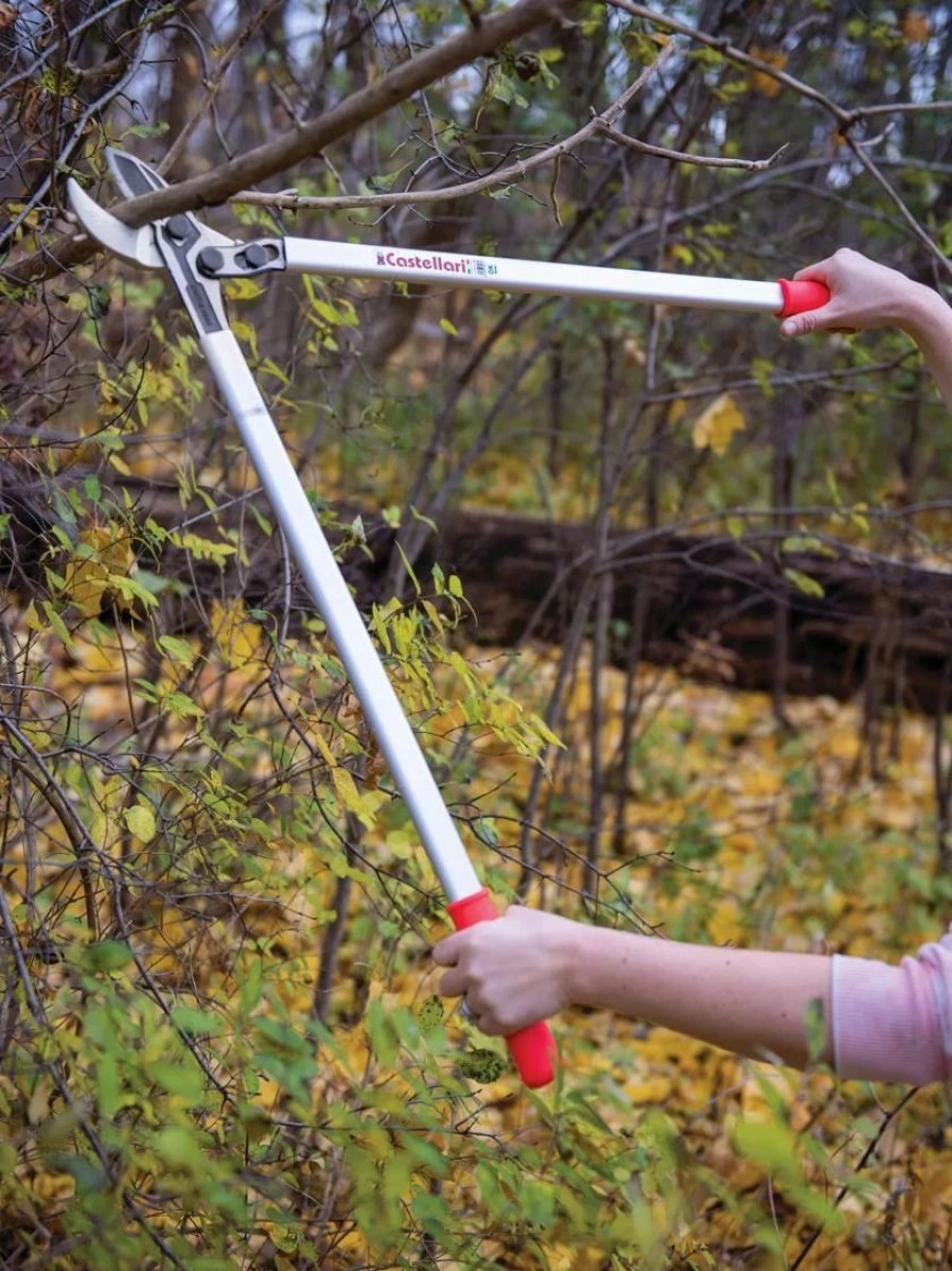 Garden Tools * | Castellari Long-Handled Anvil Lopper