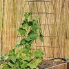 Plant Supports * | Wire A-Frame Trellis