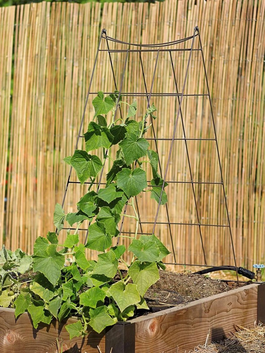 Plant Supports * | Wire A-Frame Trellis