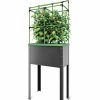 Plant Supports * | City Jungle Heidelberg Tomato Trellis