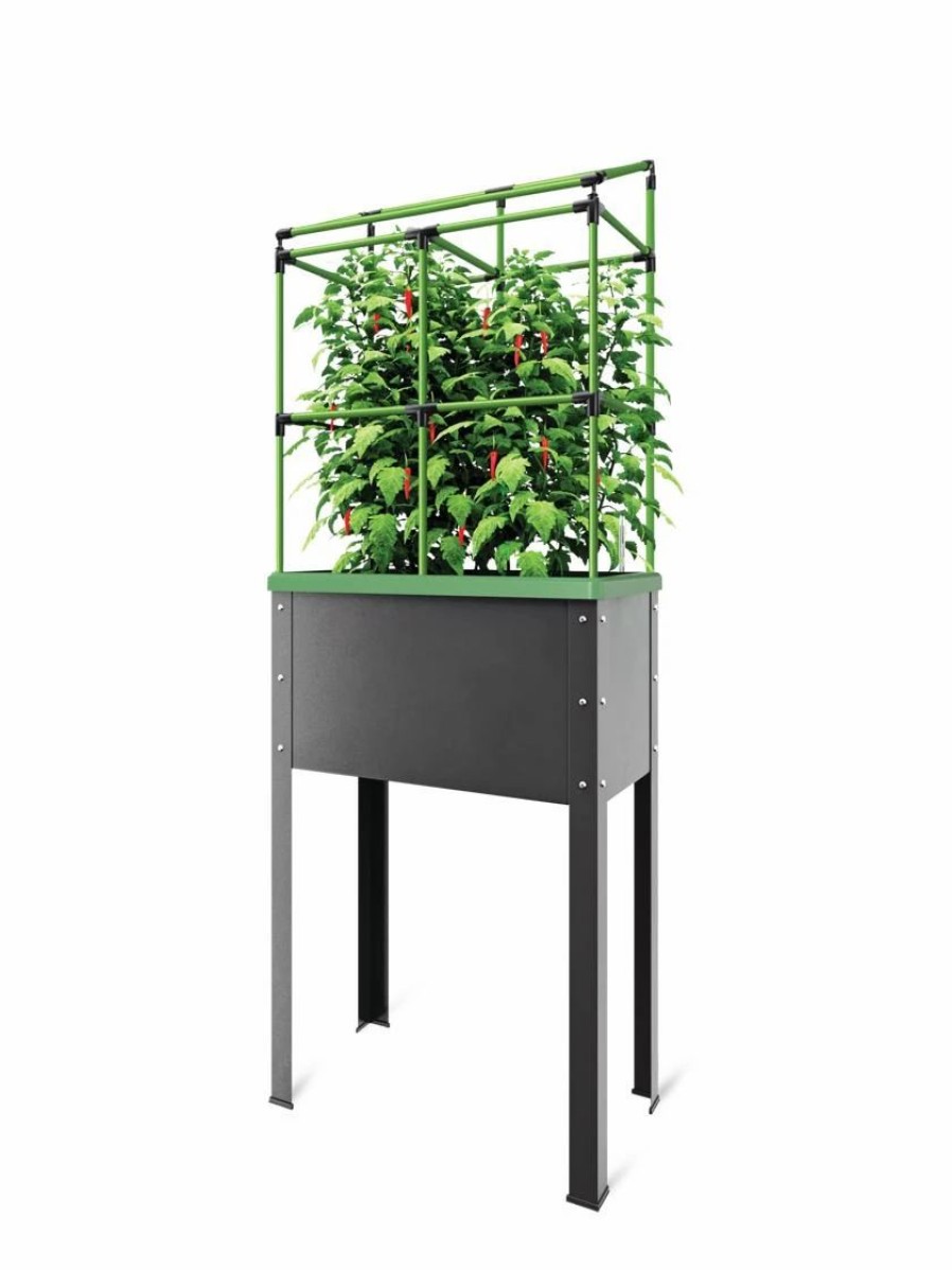 Plant Supports * | City Jungle Heidelberg Tomato Trellis