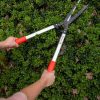 Garden Tools * | Castellari Superior Gardening Shears