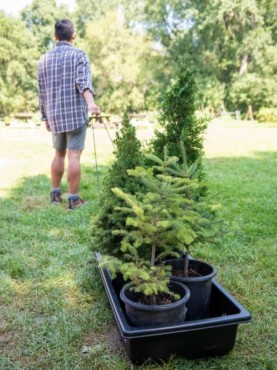 Garden Tools * | Gardener'S Summer Sled And Cover