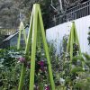 Plant Supports * | Akoris Garden Tuteur Jr.