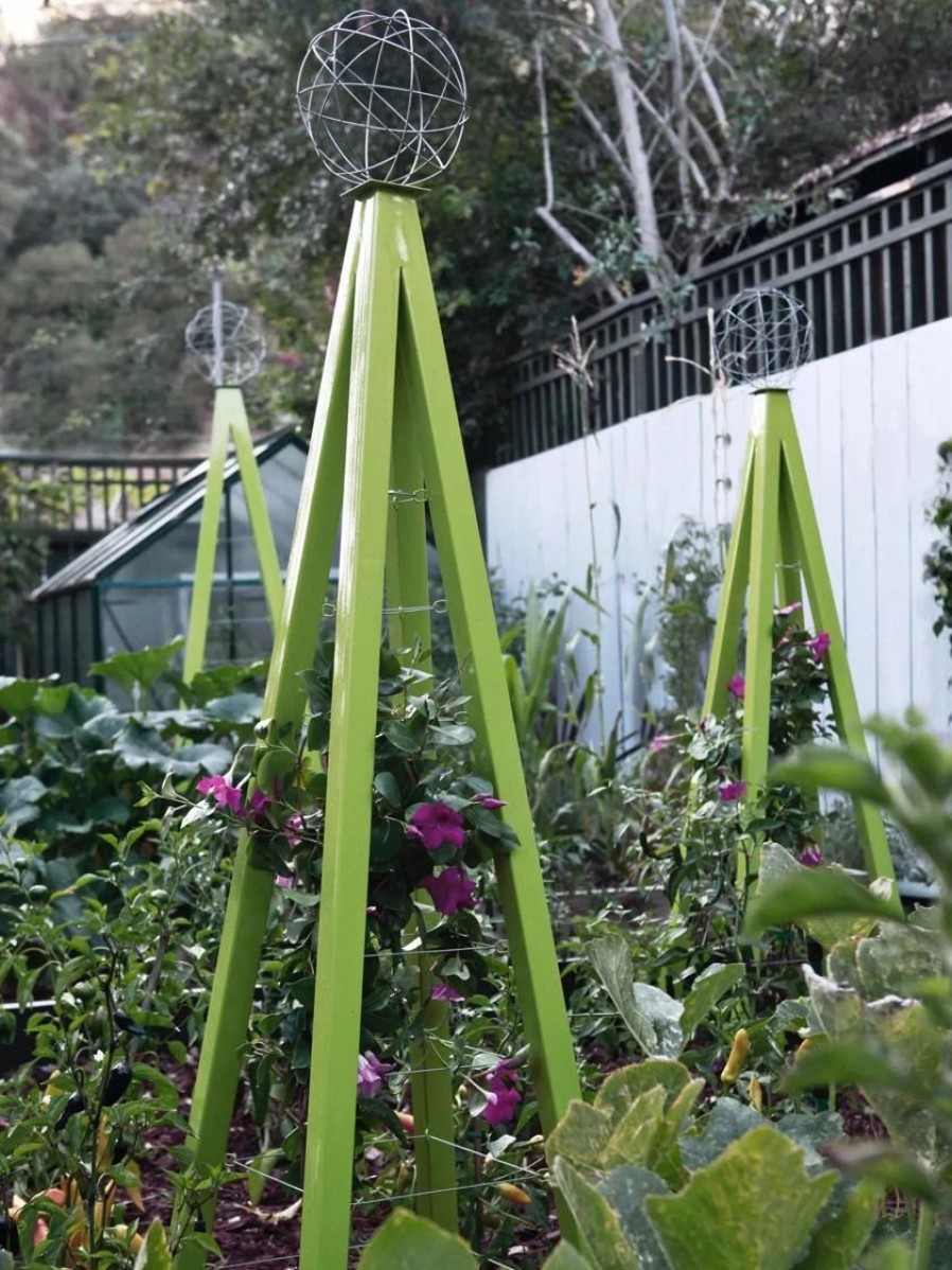 Plant Supports * | Akoris Garden Tuteur Jr.