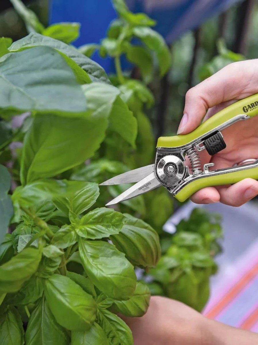 Garden Tools * | Pocket Snips