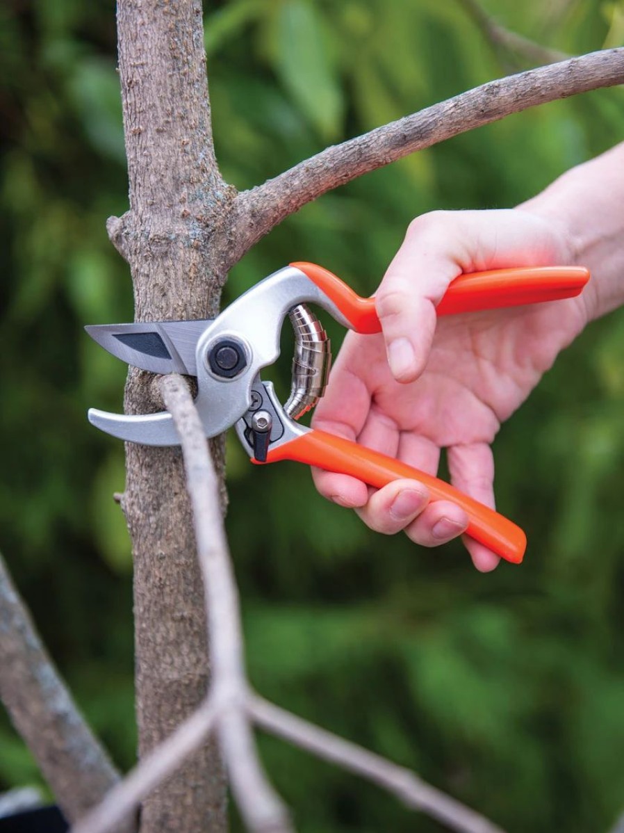 Garden Tools * | Castellari Mini Anvil Pruner