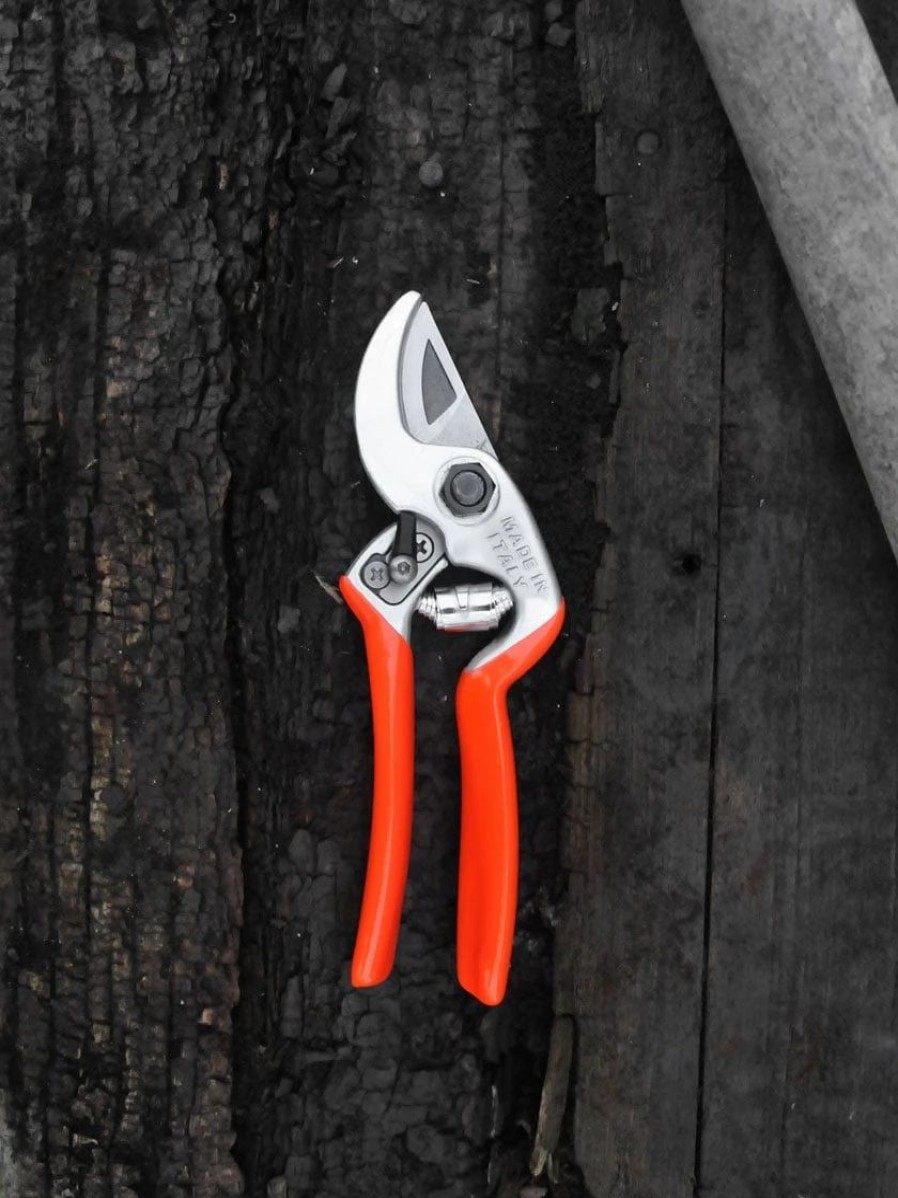 Garden Tools * | Castellari Mini Anvil Pruner