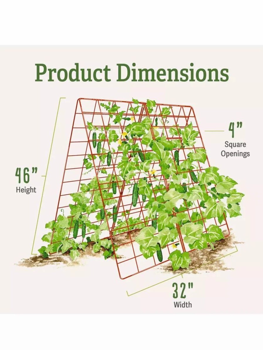 Plant Supports * | Deluxe Cucumber Trellis