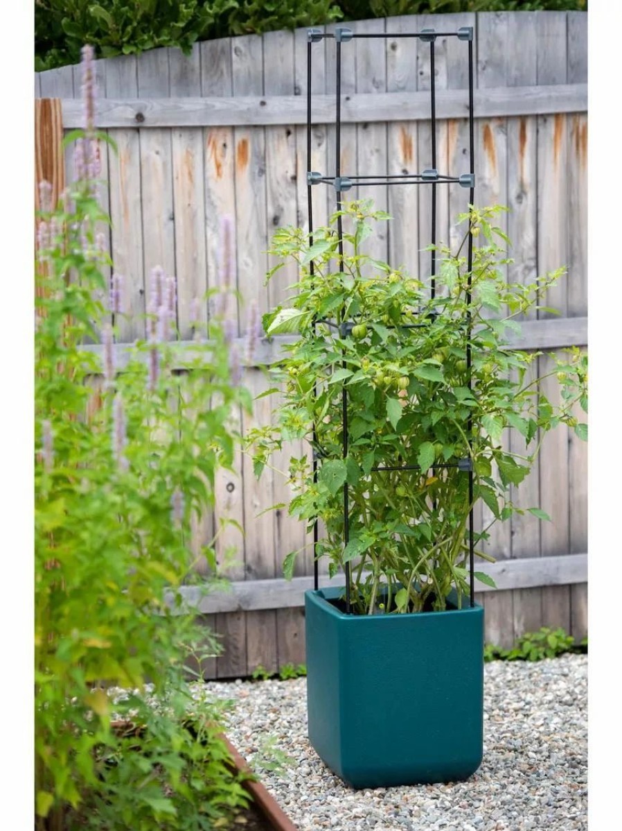 Plant Supports * | Oasis Trellis Extension