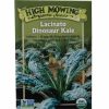 Seeds * | Lacinato Dino Kale Organic Seeds