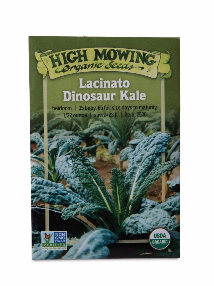 Seeds * | Lacinato Dino Kale Organic Seeds