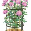 Plant Supports * | Titan Peony Supports, Large, Set Of 2