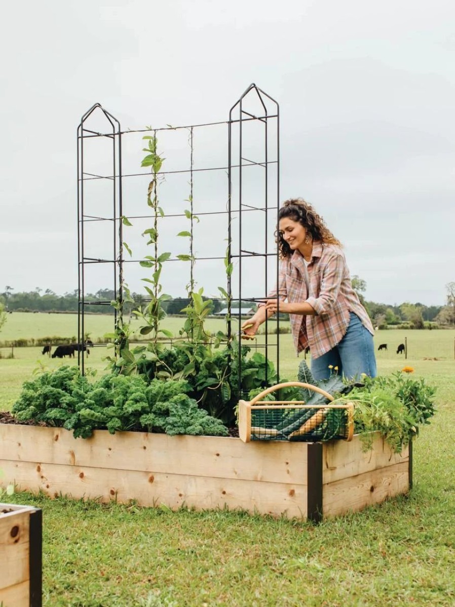 Plant Supports * | Zenith Trellis