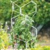 Plant Supports * | Gardener'S Vertex Lifetime Pepper And Eggplant Cage Natural Aluminum