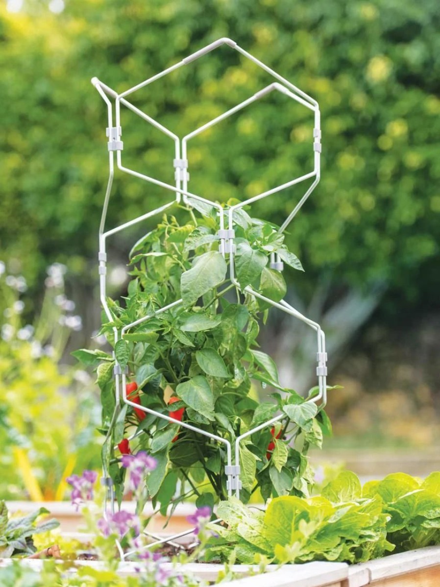 Plant Supports * | Gardener'S Vertex Lifetime Pepper And Eggplant Cage Natural Aluminum