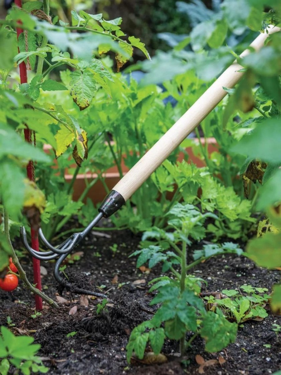 Garden Tools * | Gardener'S Lifetime Long-Handled Double Tool