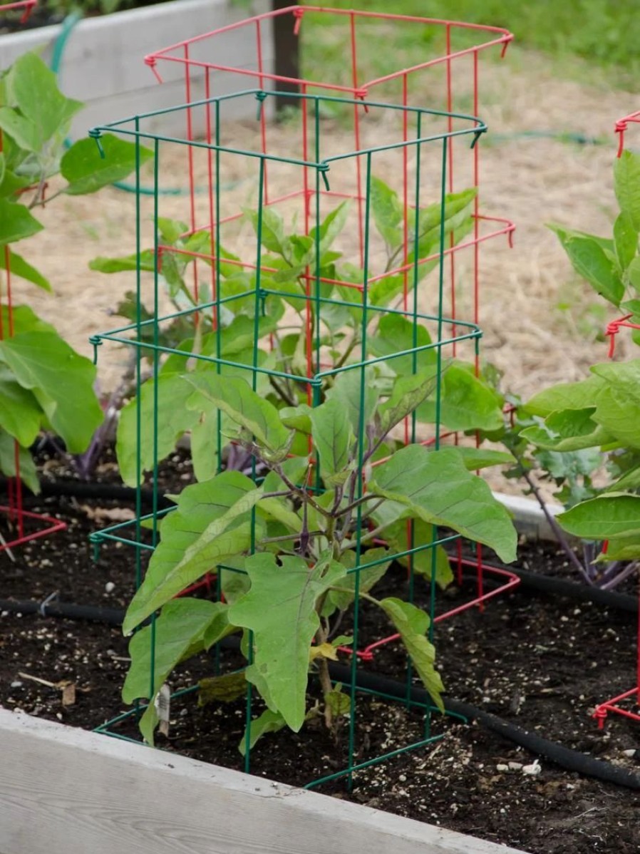 Plant Supports * | Pepper And Eggplant Cages, Set Of 3