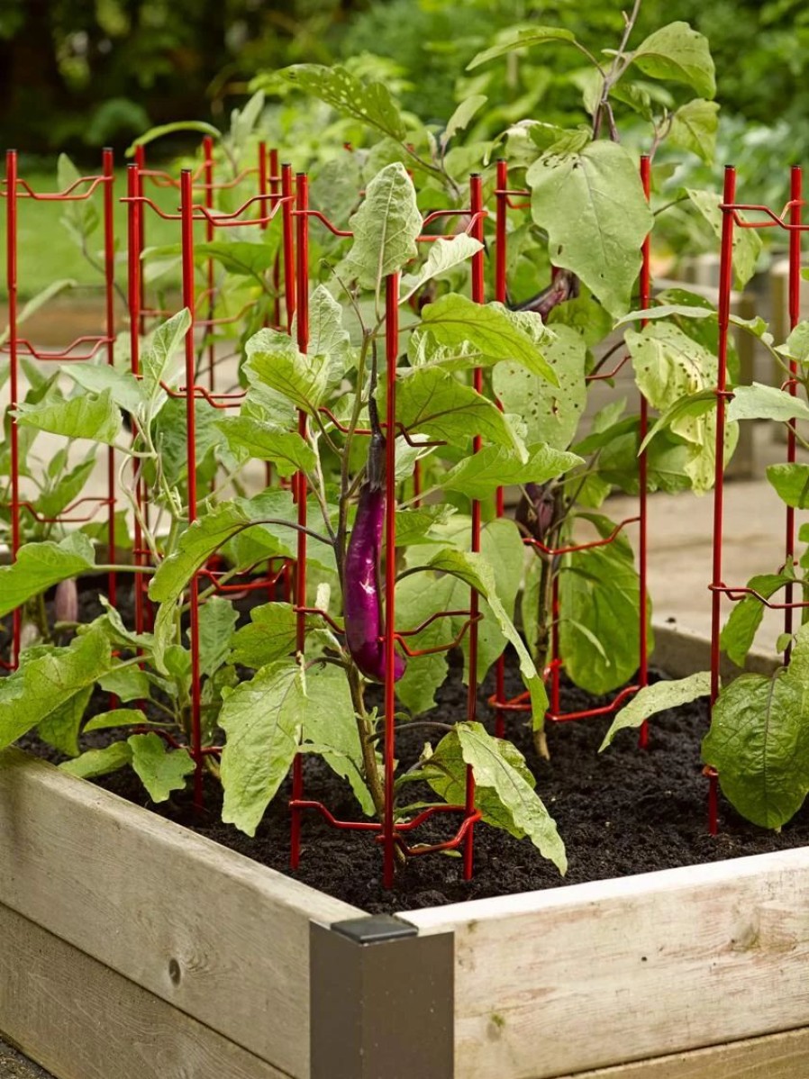 Plant Supports * | Pepper And Eggplant Stakes, Set Of 3