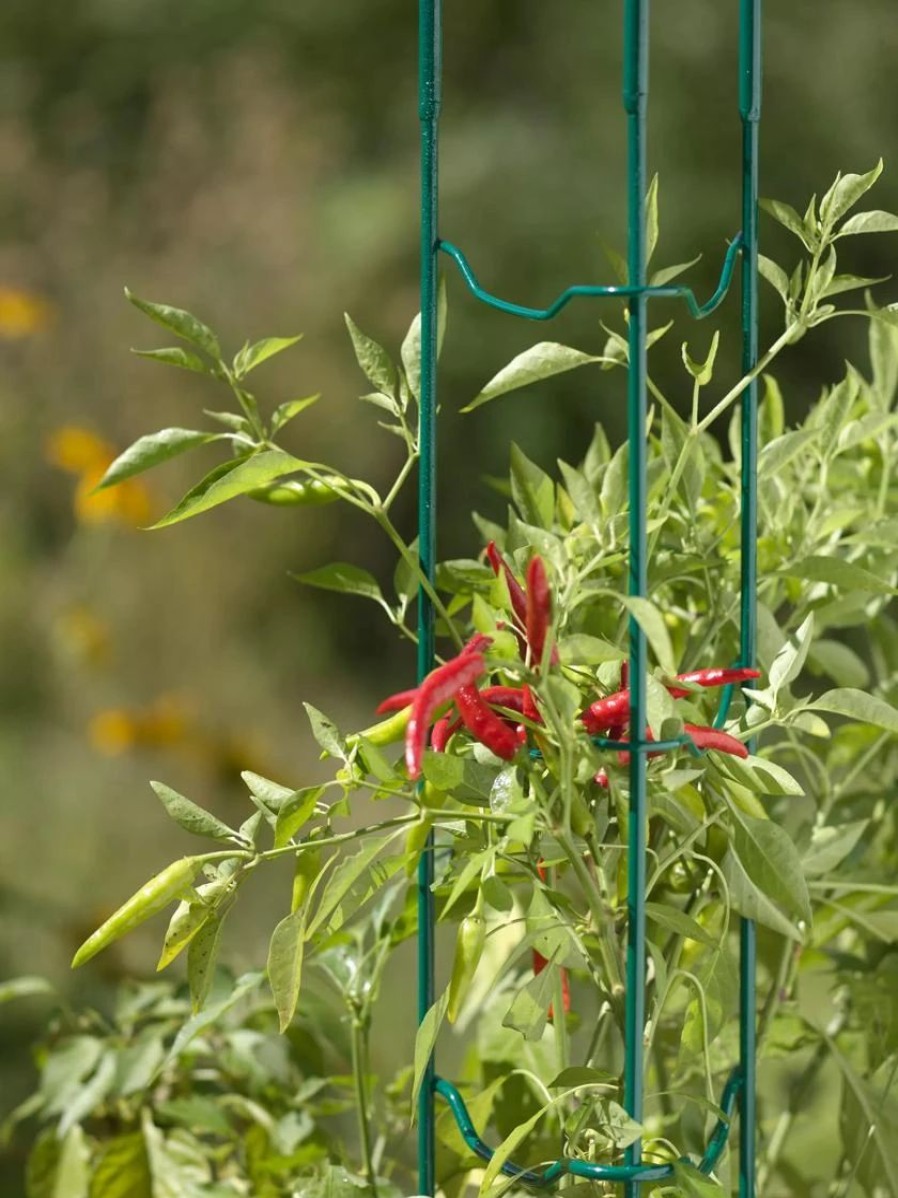 Plant Supports * | Pepper And Eggplant Stakes, Set Of 3