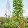 Plant Supports * | Garden Maypole Plant Support