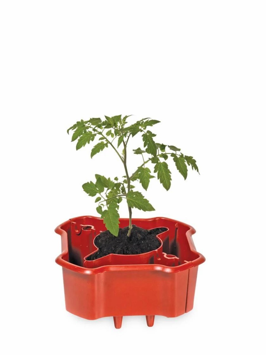 Plant Supports * | Deluxe Tomato Halos, Set Of 2