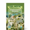 Seeds * | Jasmine-Scented Nicotiana Organic Seeds