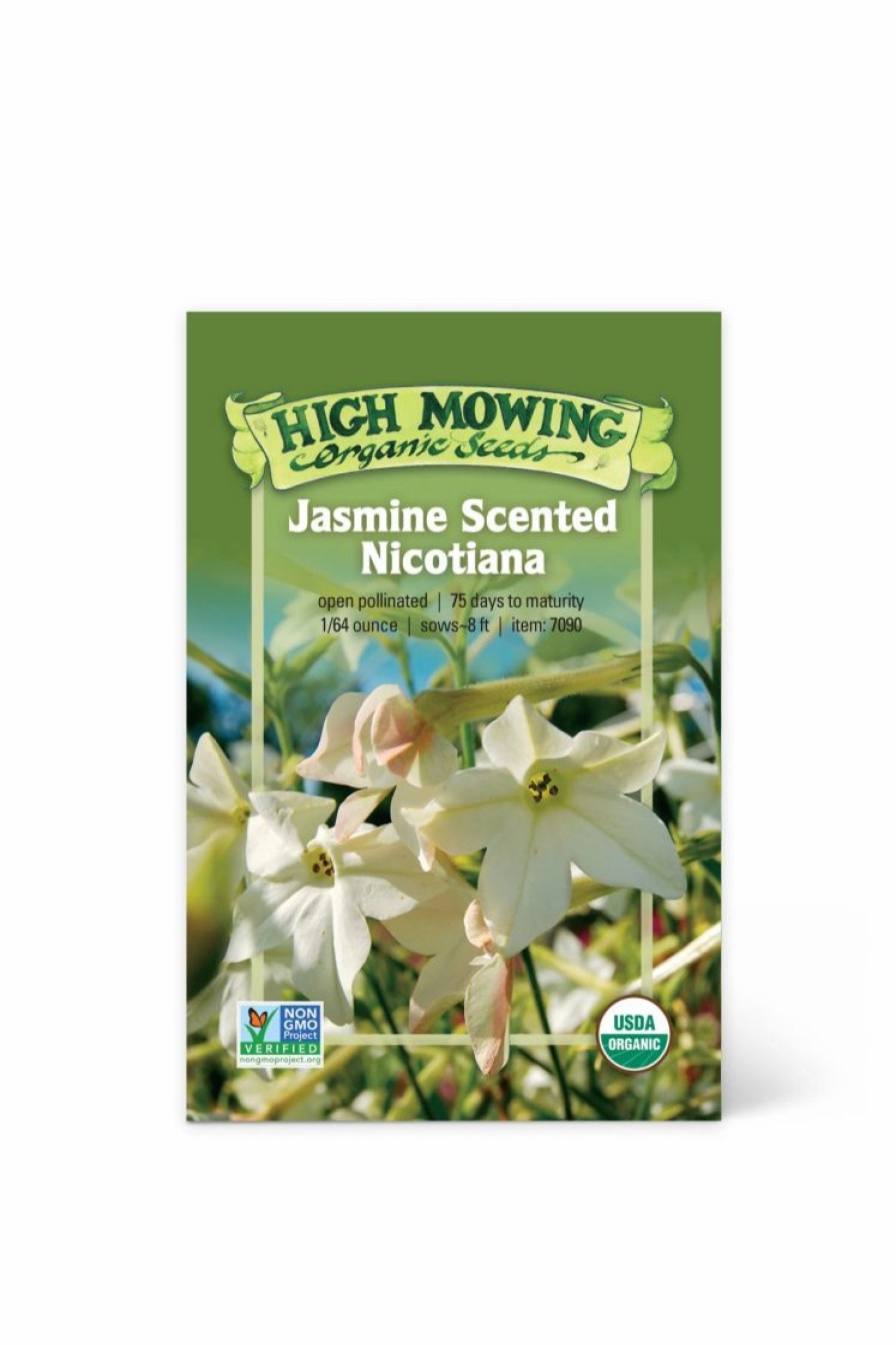 Seeds * | Jasmine-Scented Nicotiana Organic Seeds